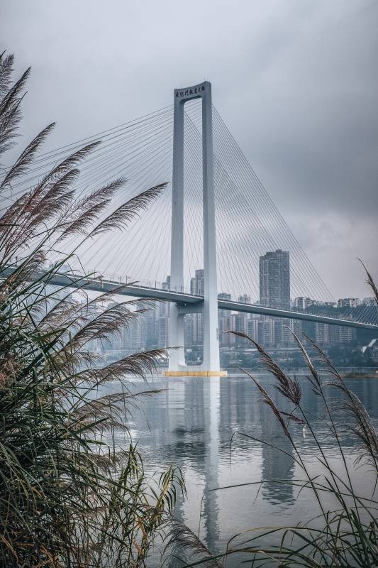 重庆南纪门轨道大桥