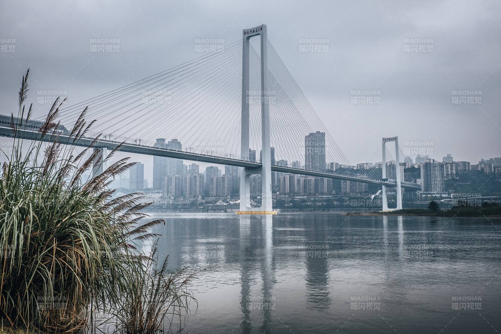 重庆南纪门轨道大桥