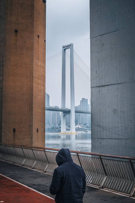 重庆南纪门轨道大桥