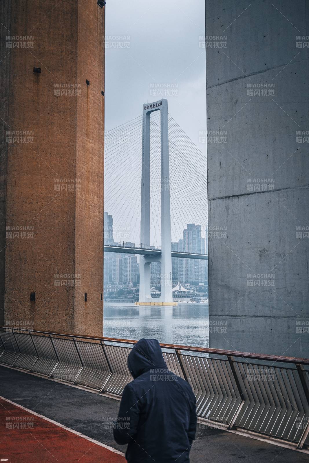 重庆南纪门轨道大桥