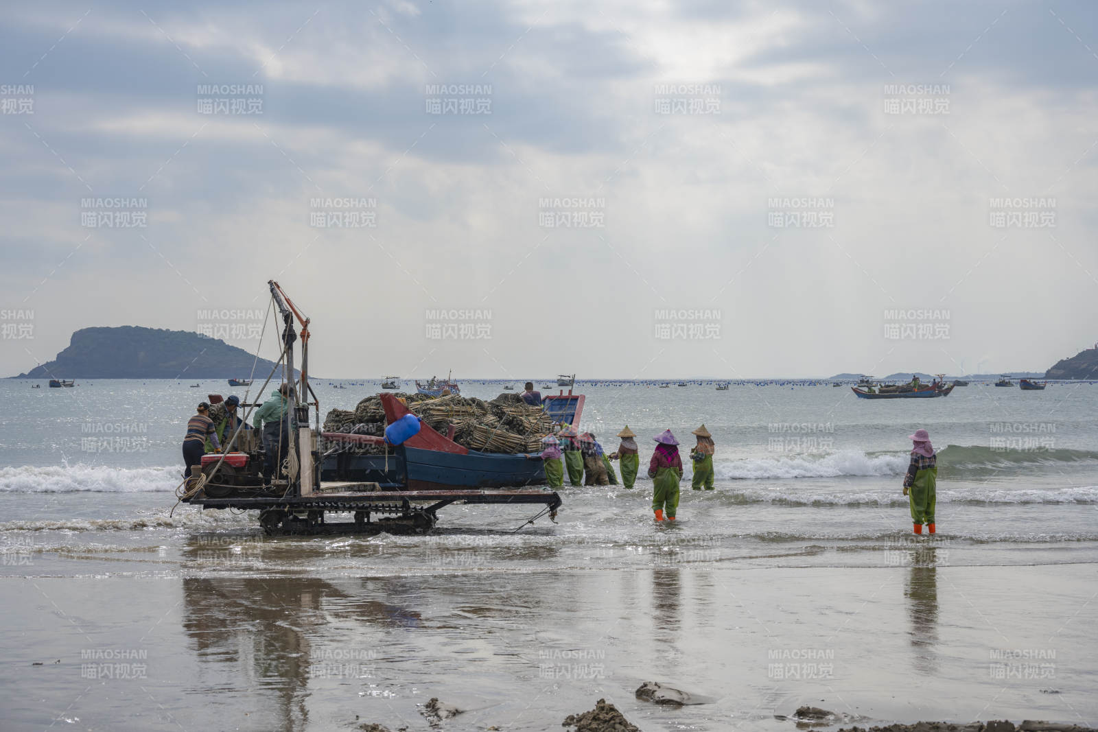 漁舟歸港 漁民忙碌