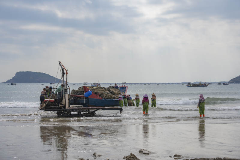 渔舟归港 渔民忙碌