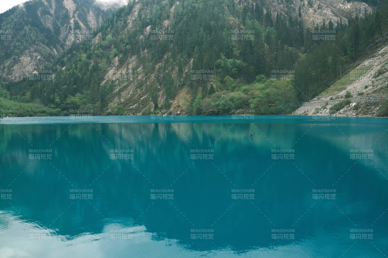 九寨溝碧湖映山景