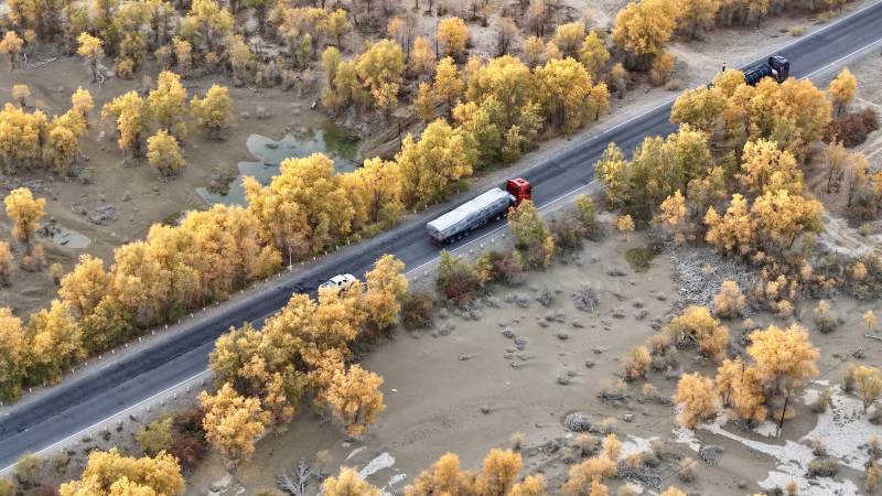 秋林公路车行图（新疆轮台）