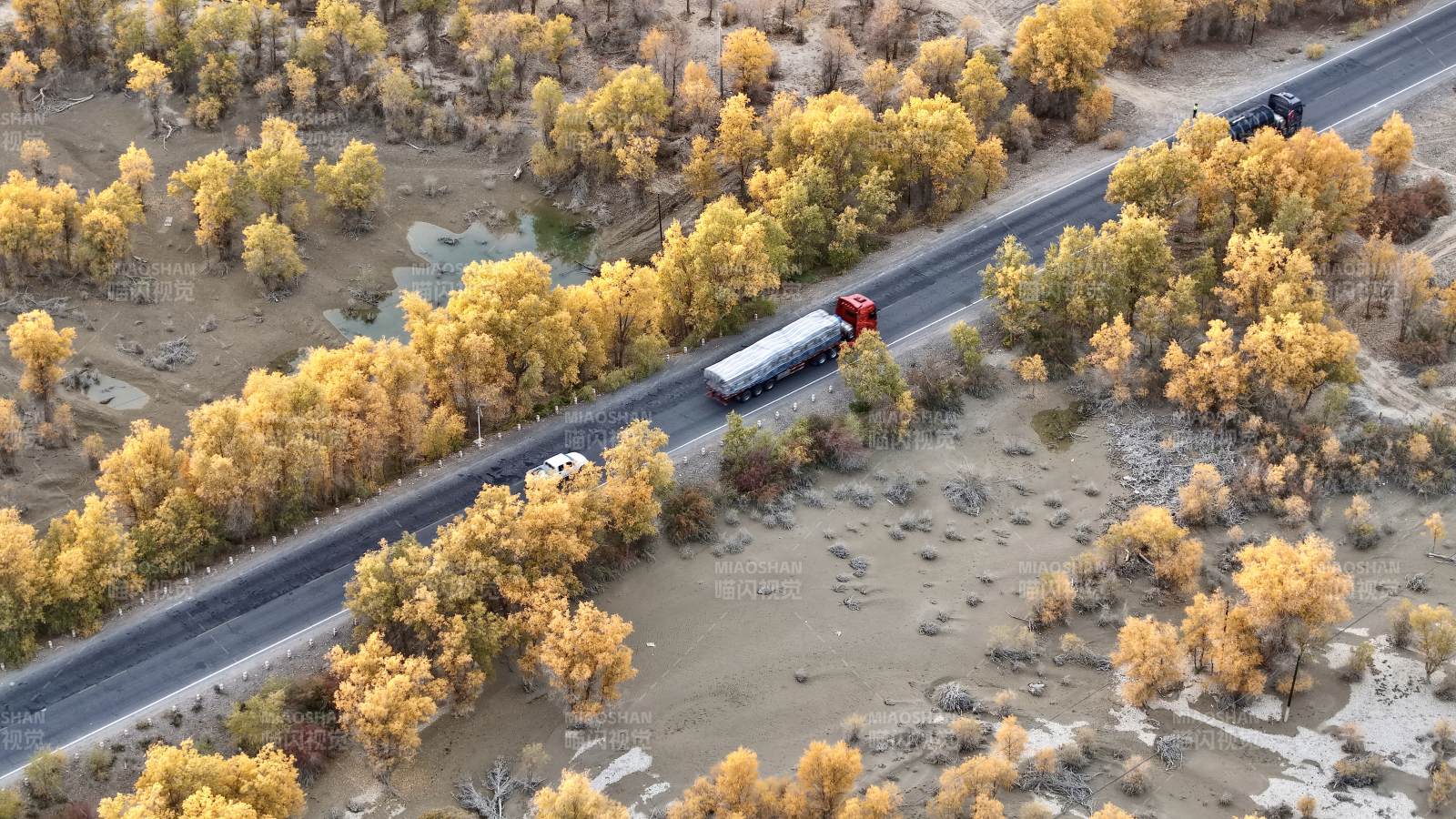 秋林公路车行图（新疆轮台）