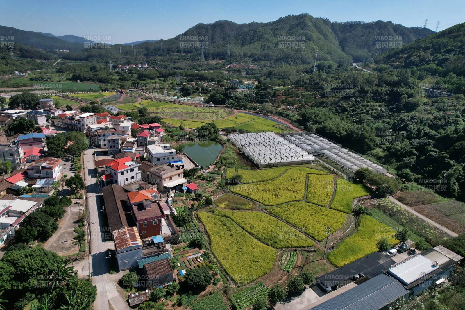 漳州 山村田园风光
