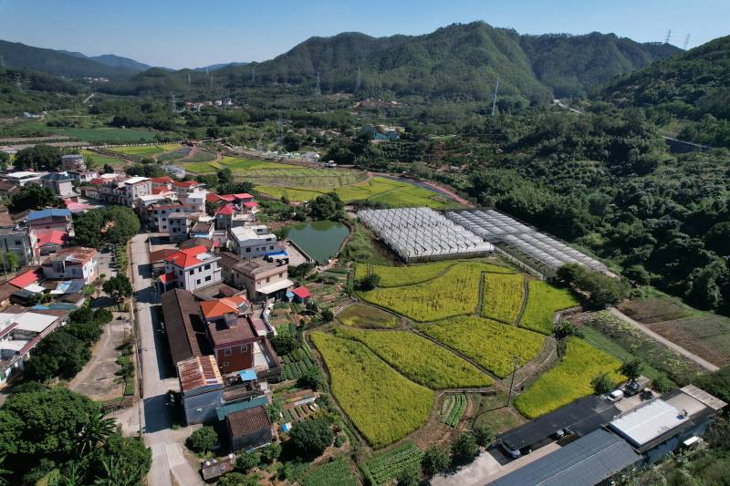 漳州 山村田园风光