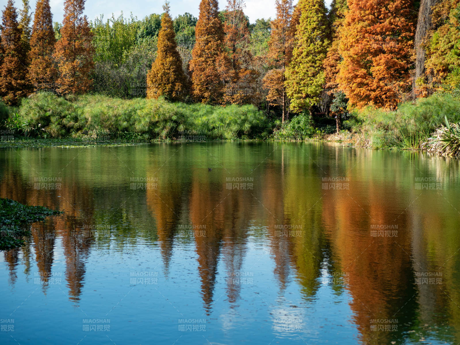 昆明海洪湿地公园的秋日美景