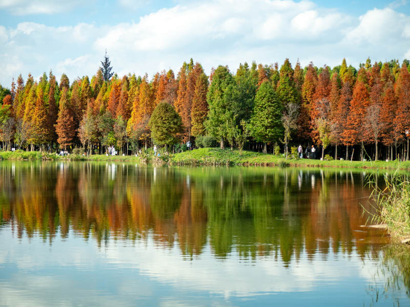 昆明海洪湿地公园的秋日美景