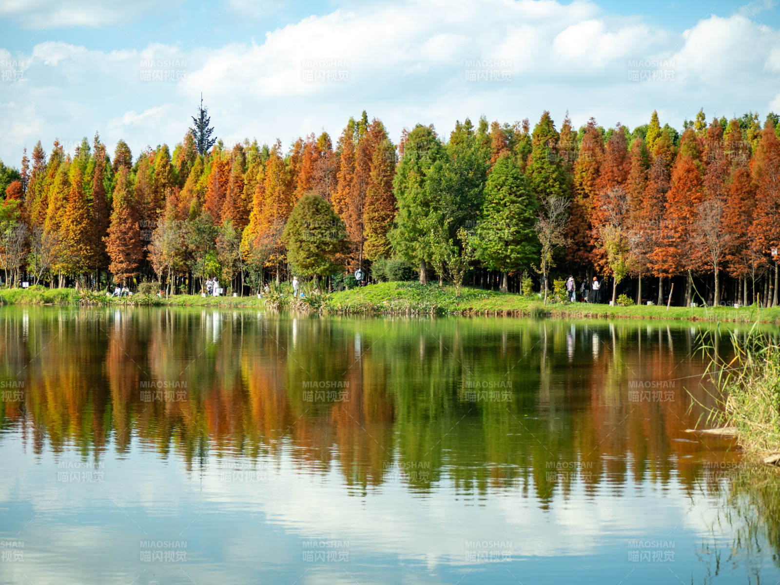 昆明海洪湿地公园的秋日美景