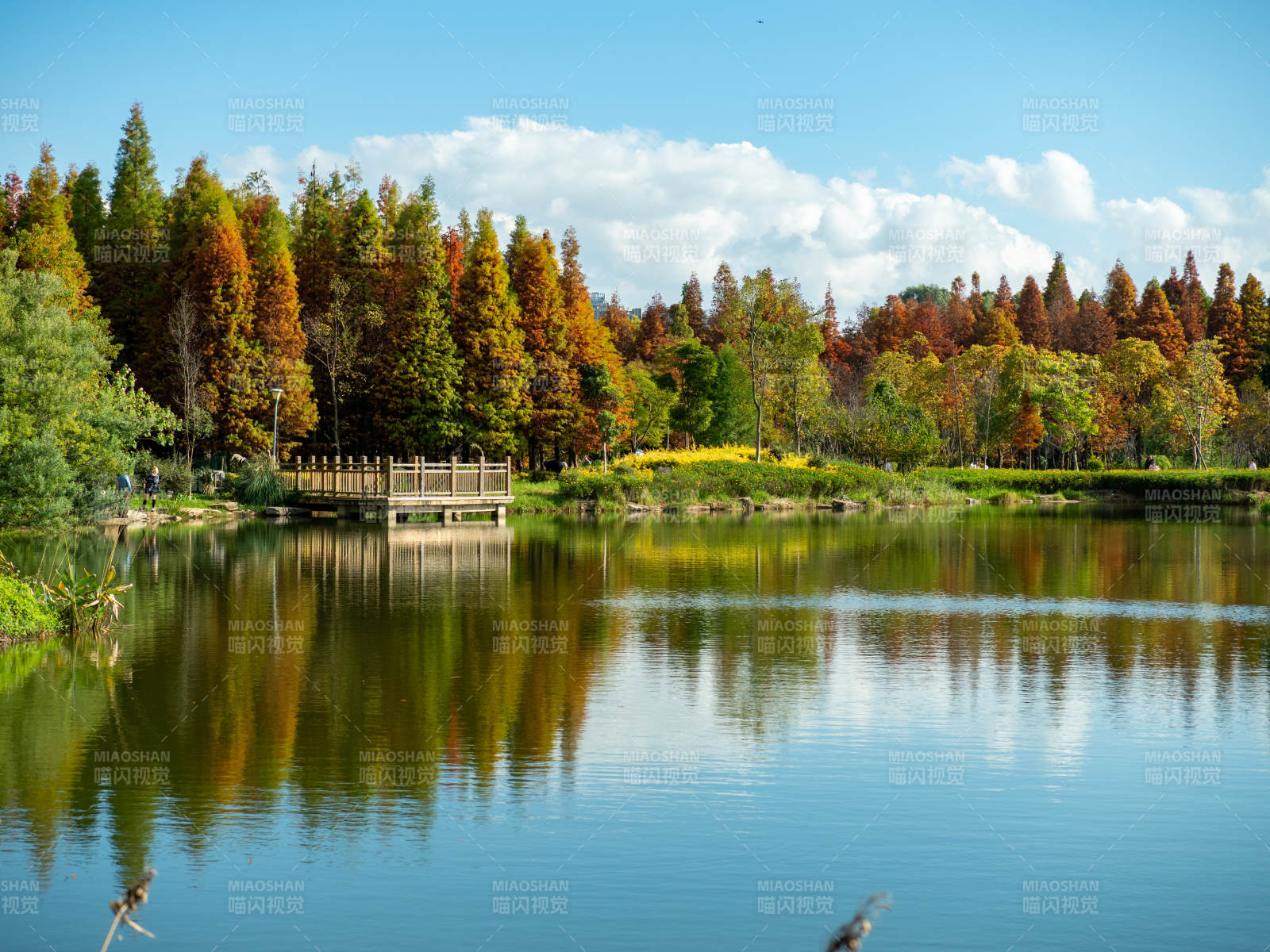 昆明海洪湿地公园的秋日美景