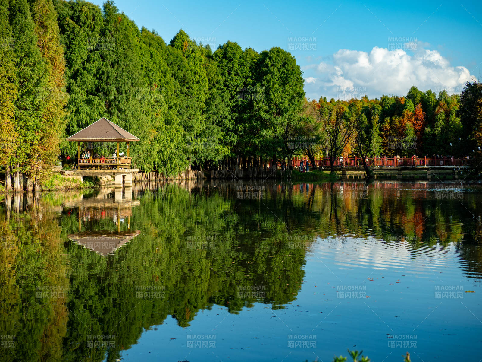 昆明海洪湿地公园的秋色美景
