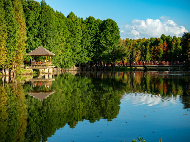 昆明海洪湿地公园的秋色美景