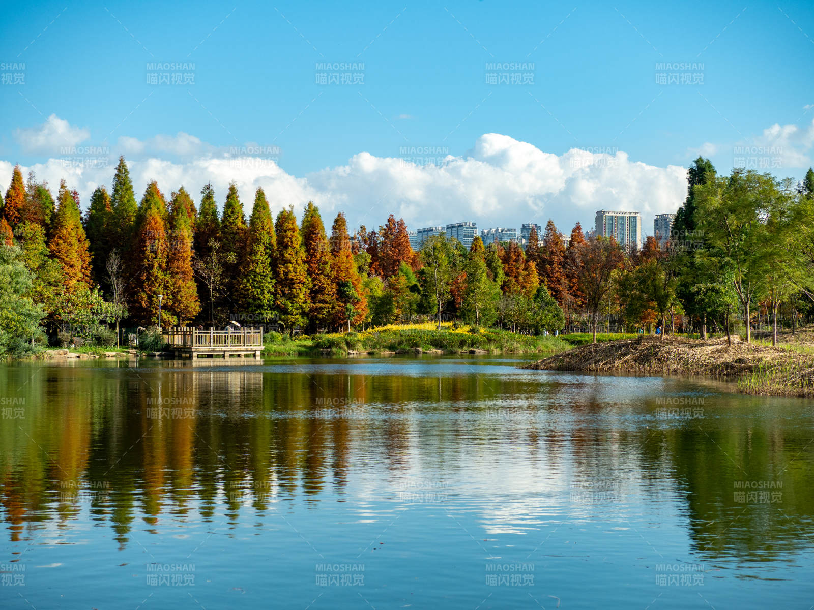 昆明海洪湿地公园的秋日美景