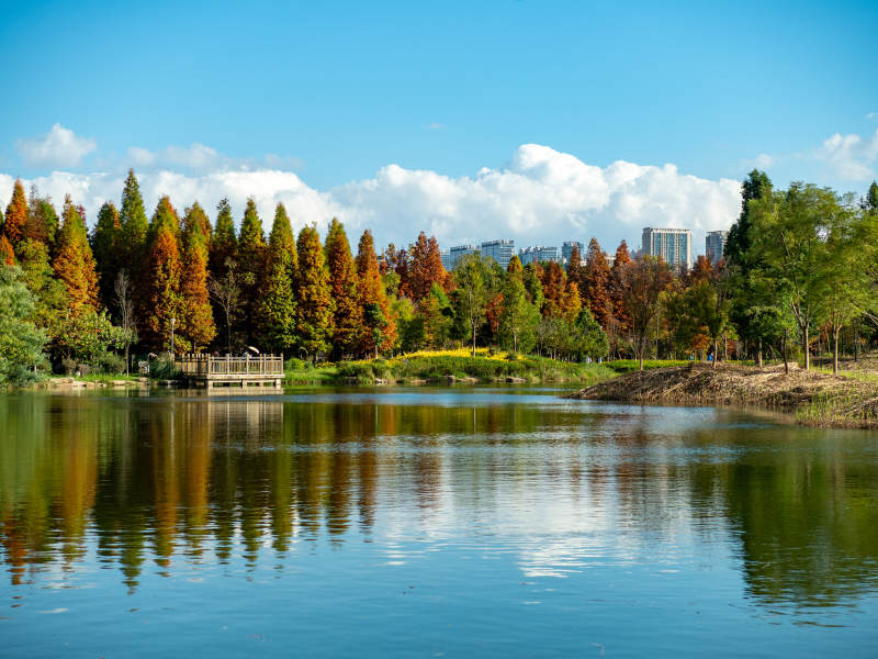 昆明海洪湿地公园的秋日美景