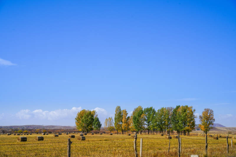 内蒙秋日田野风光