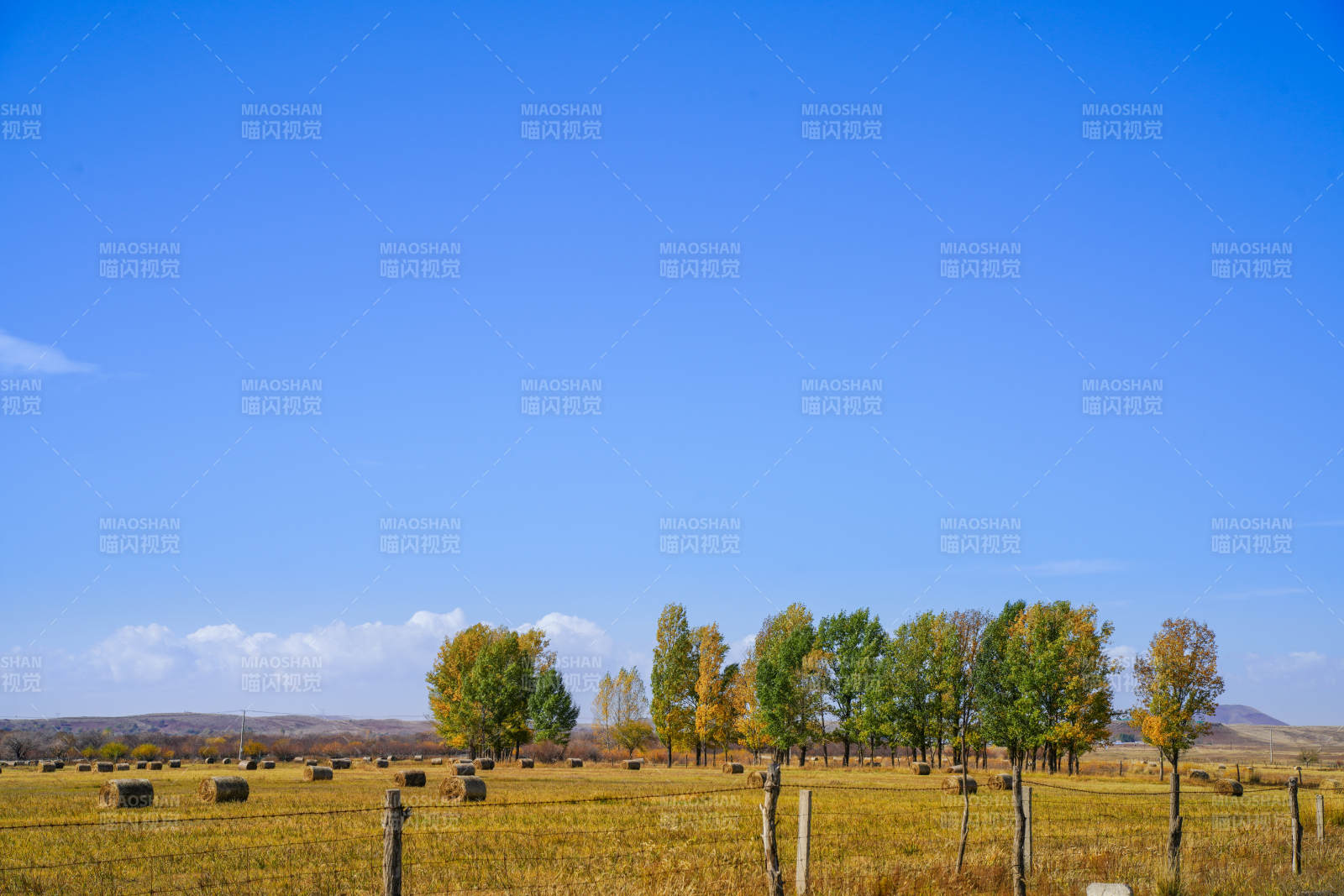 内蒙秋日田野风光