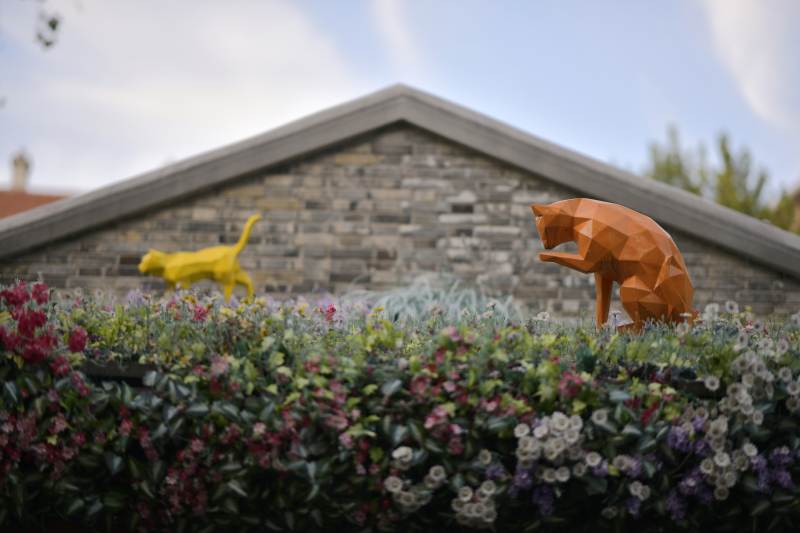 几何猫在花丛中