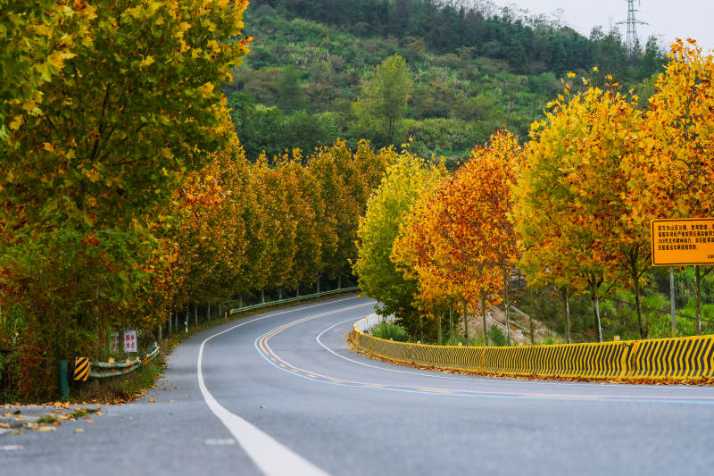 秋日公路美景