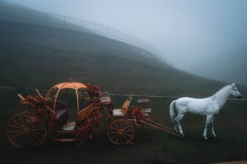 雾中马车静立