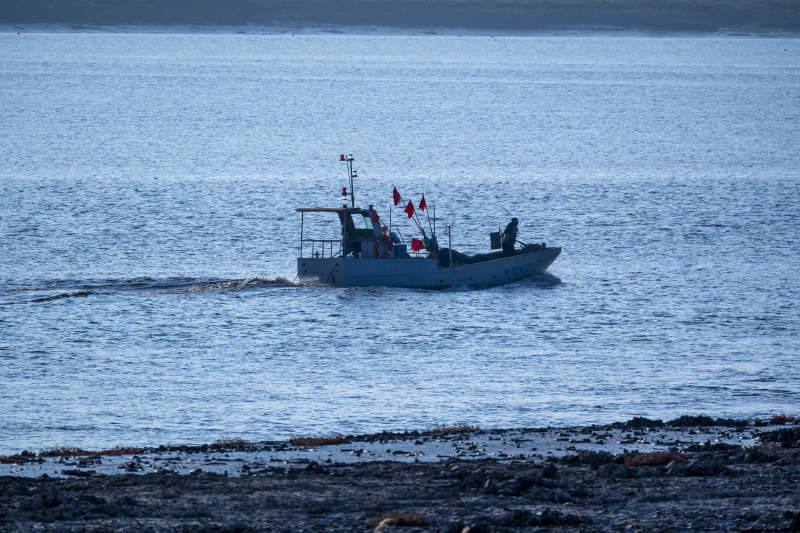 渔船归航-温州海思公园