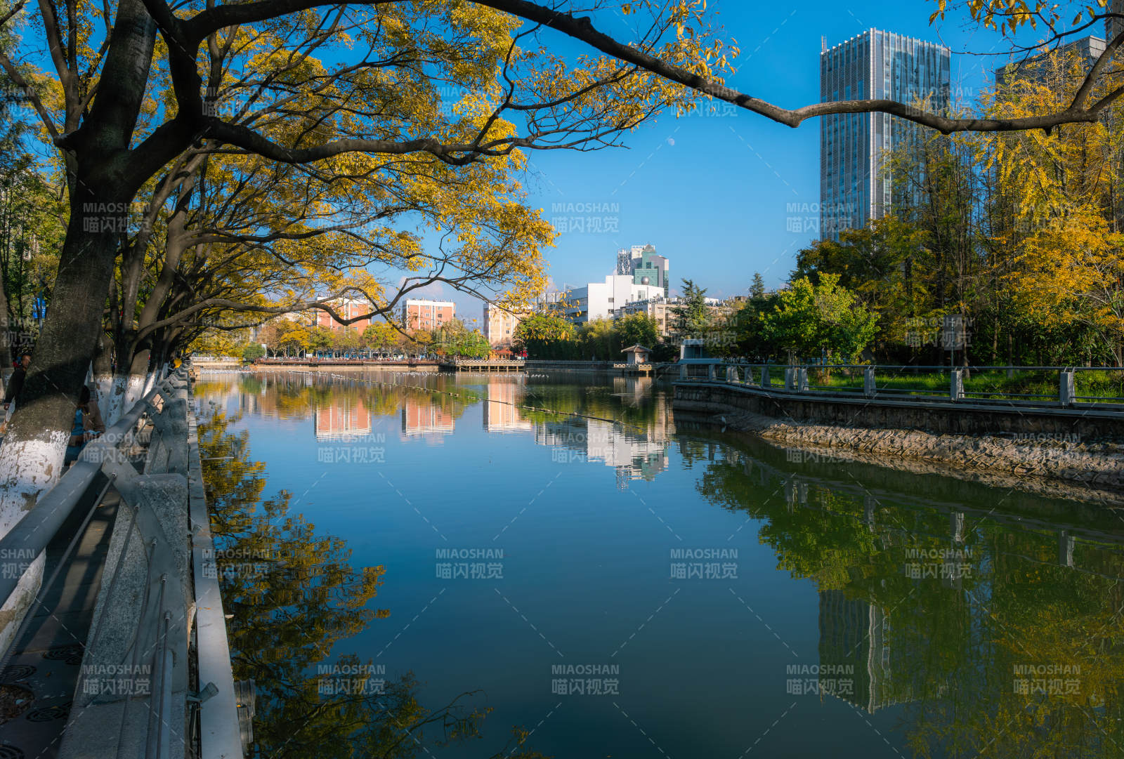 昆明大观河河畔风光
