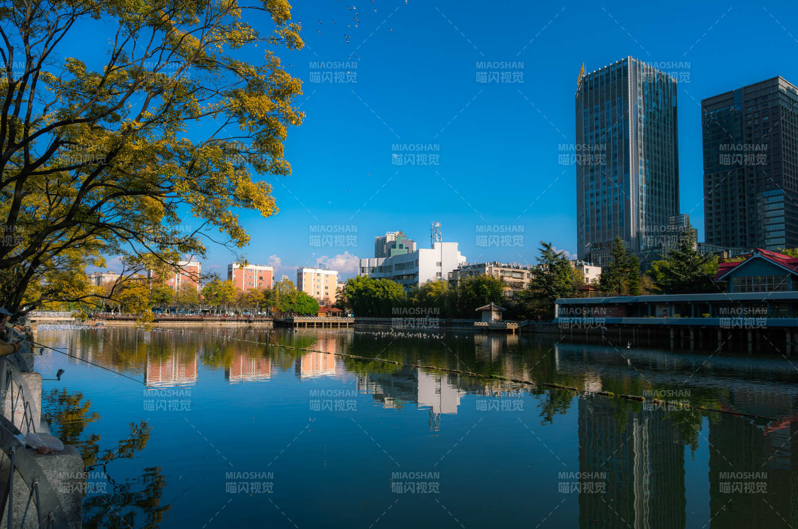 早晨的昆明大观河河畔城市倒影