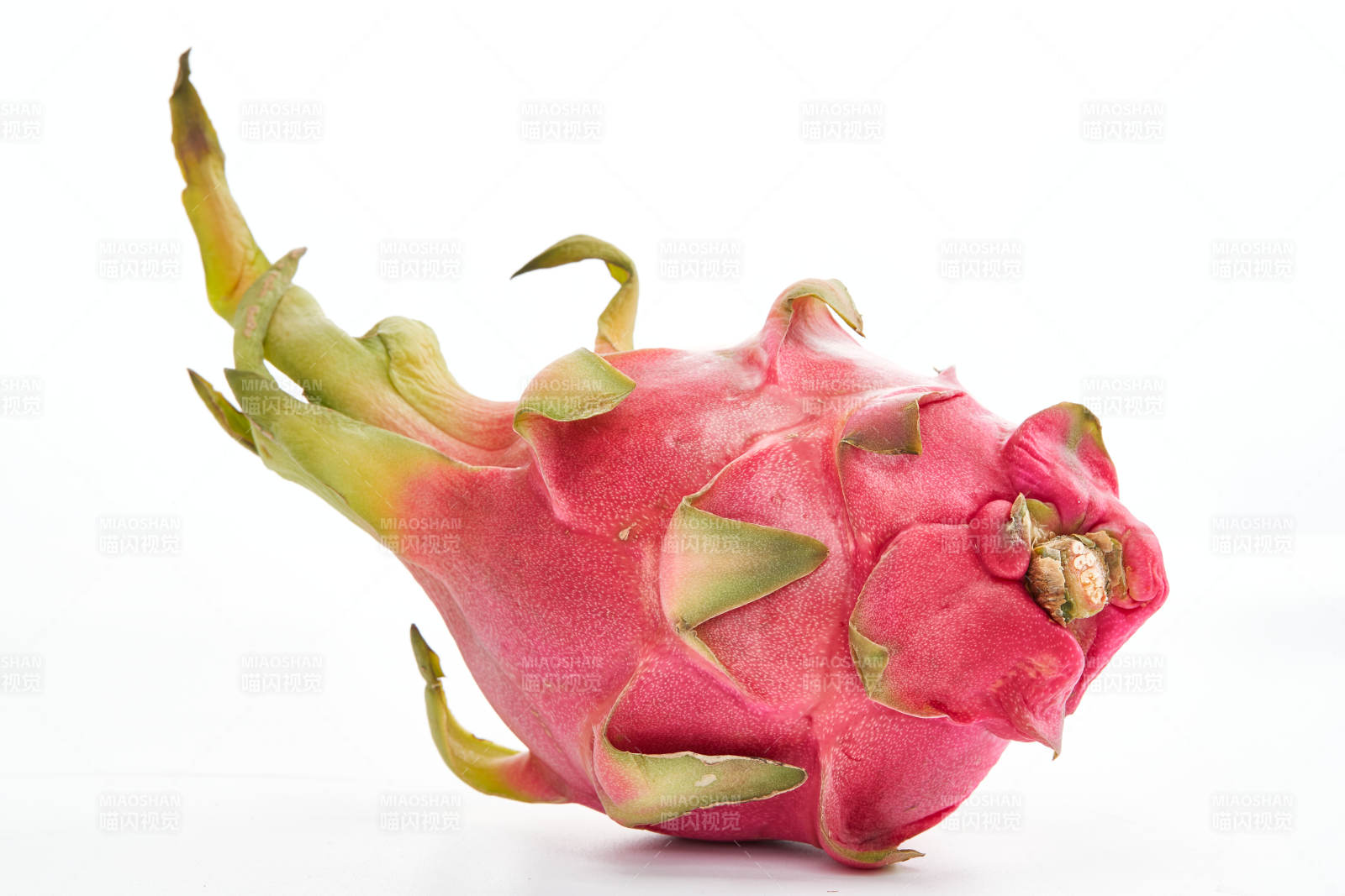 白色背景上摆放的新鲜火龙果