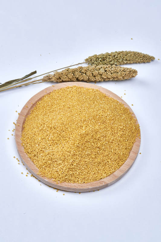 质量上乘的金黄小米粟米