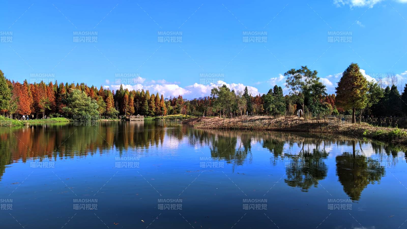 湖光秋色美如画 昆明海洪湿地公园风光