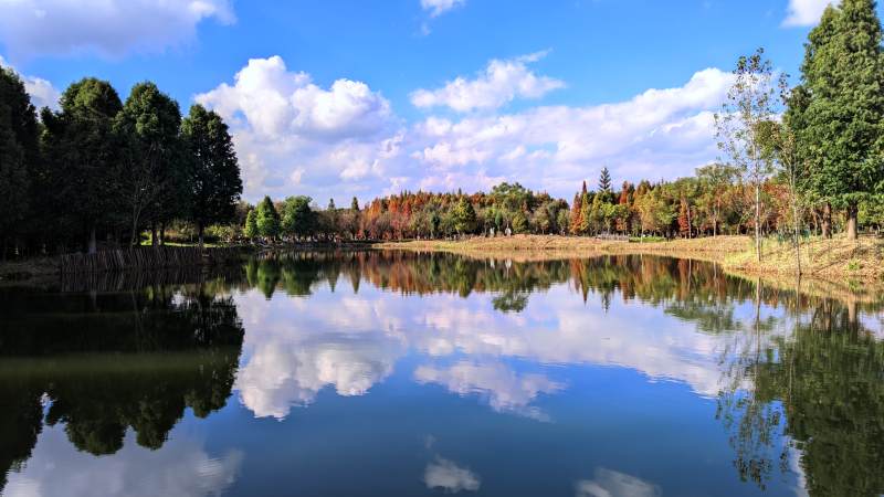 湖光云影秋色美 昆明海洪湿地公园风光