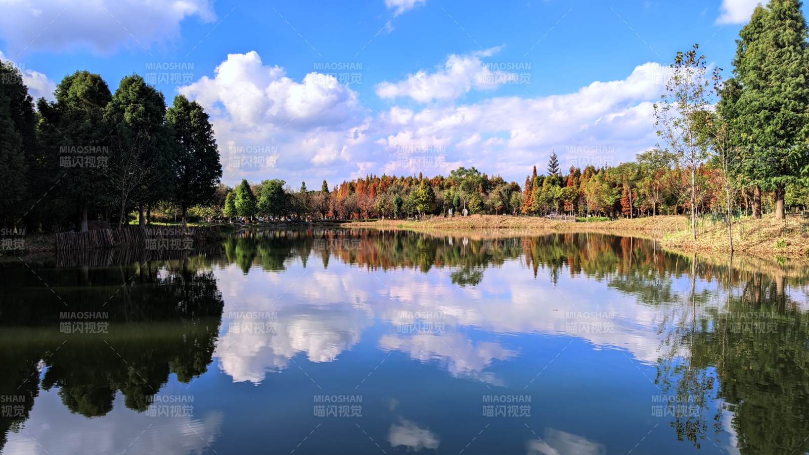 湖光云影秋色美 昆明海洪湿地公园风光