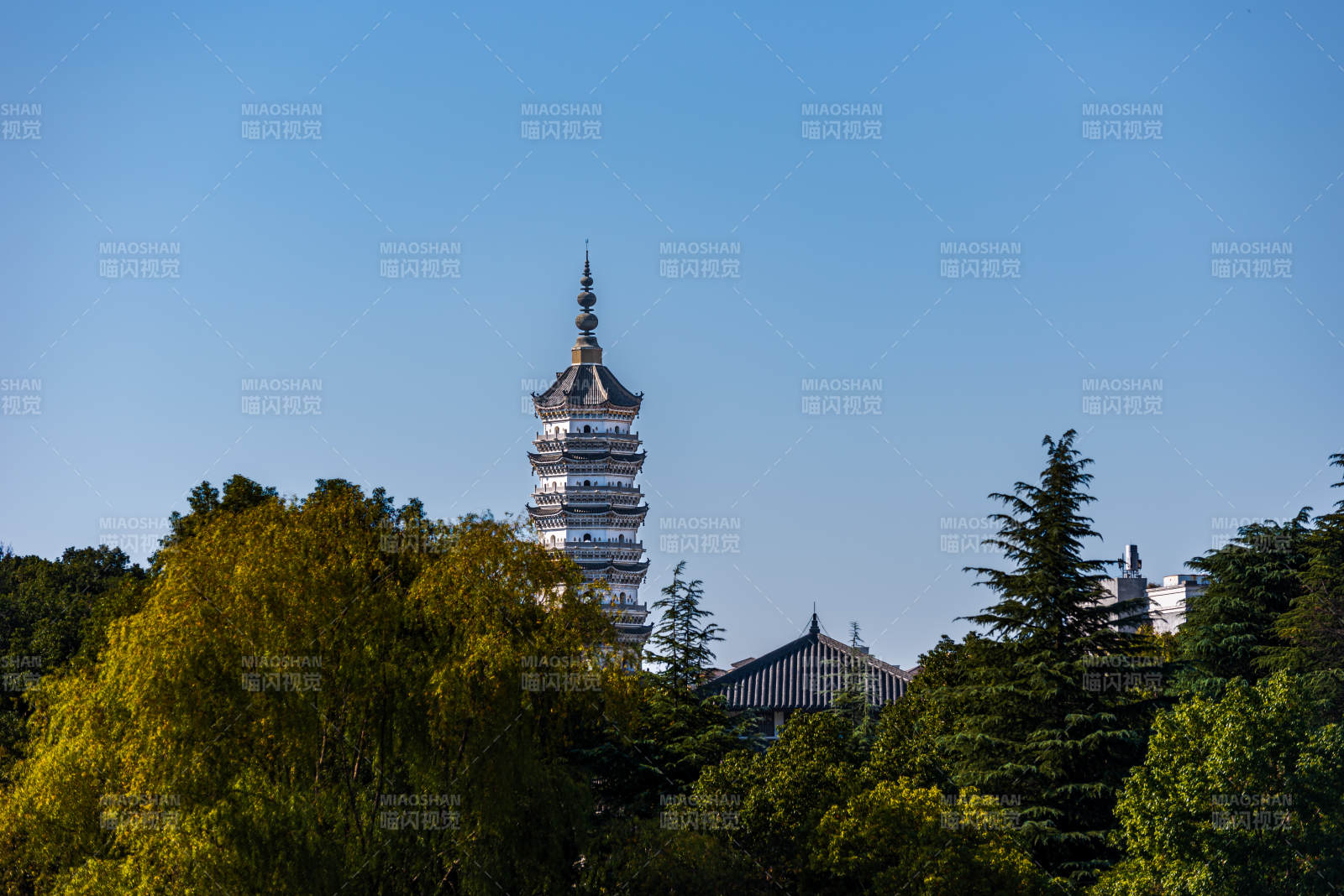 古塔林间耸立振风塔