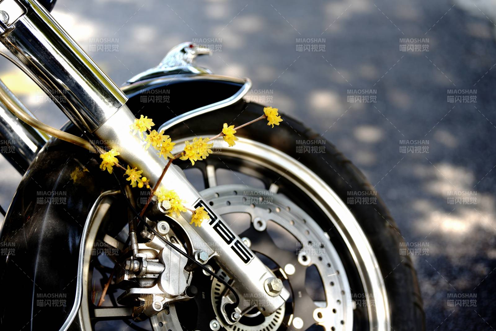 摩托车上的小黄花