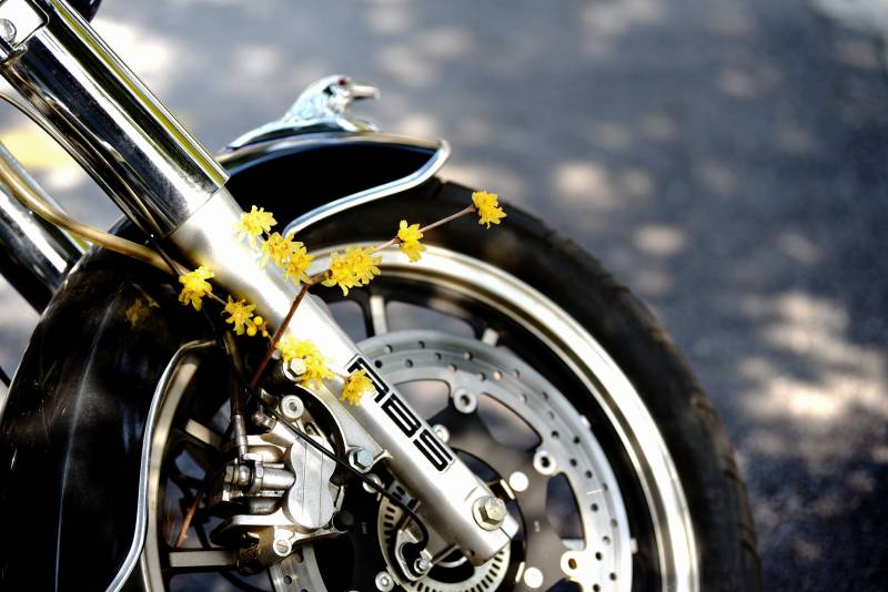 摩托车上的小黄花