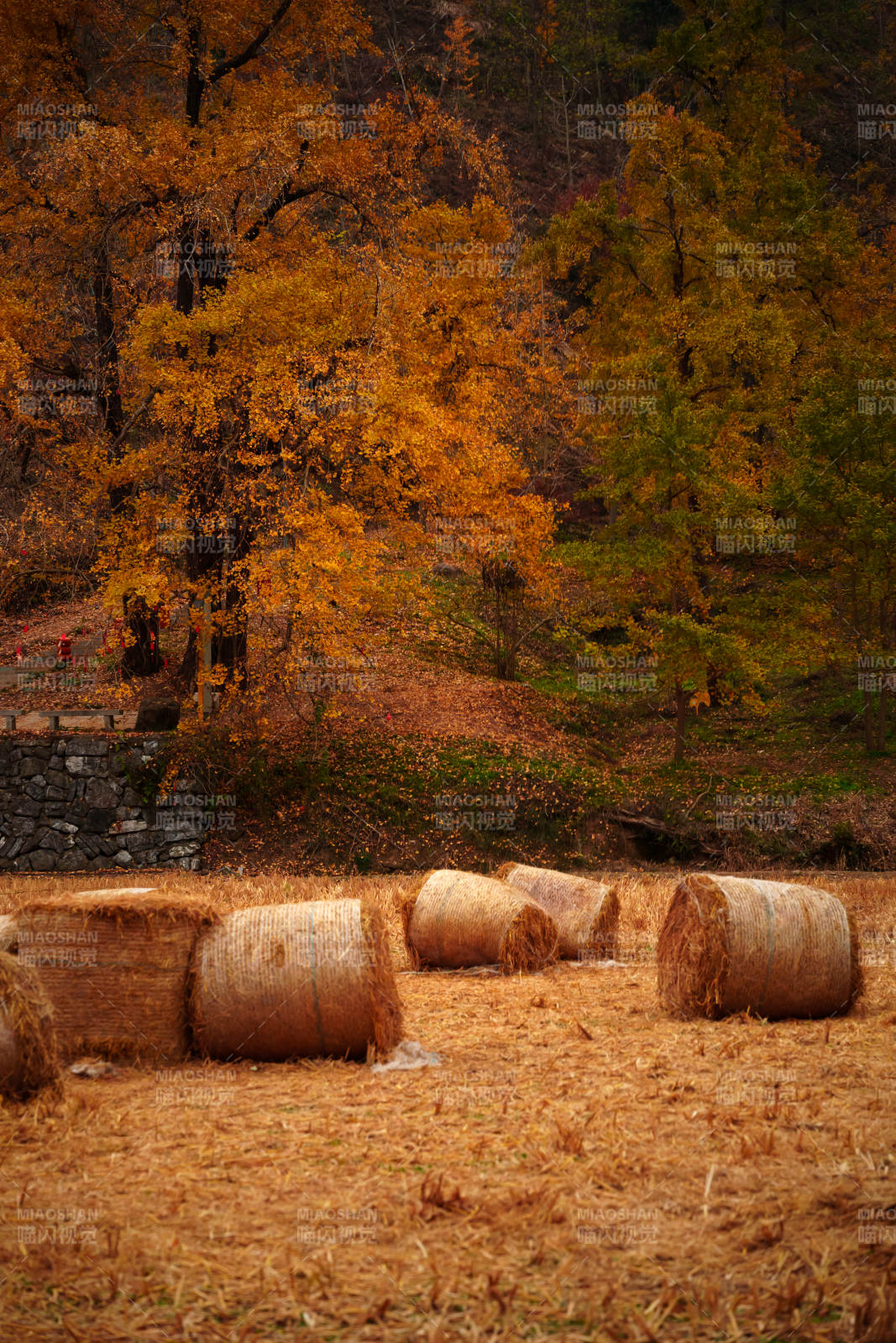 秋日稻草堆