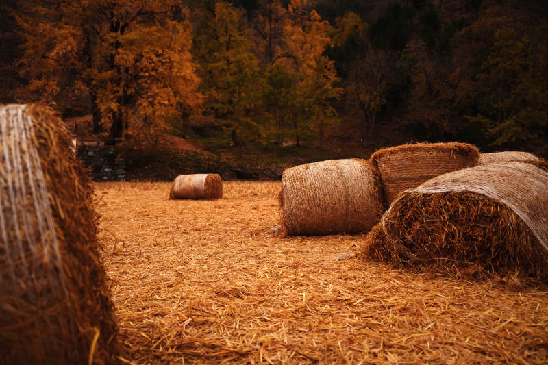 秋日稻草堆