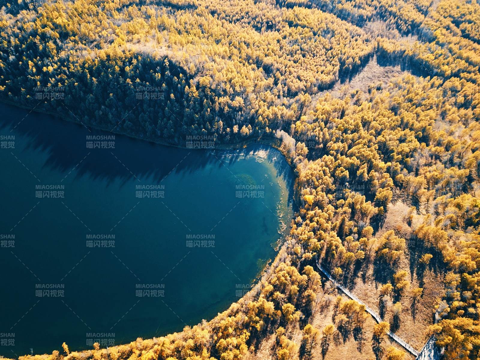 呼伦贝尔秋湖林影