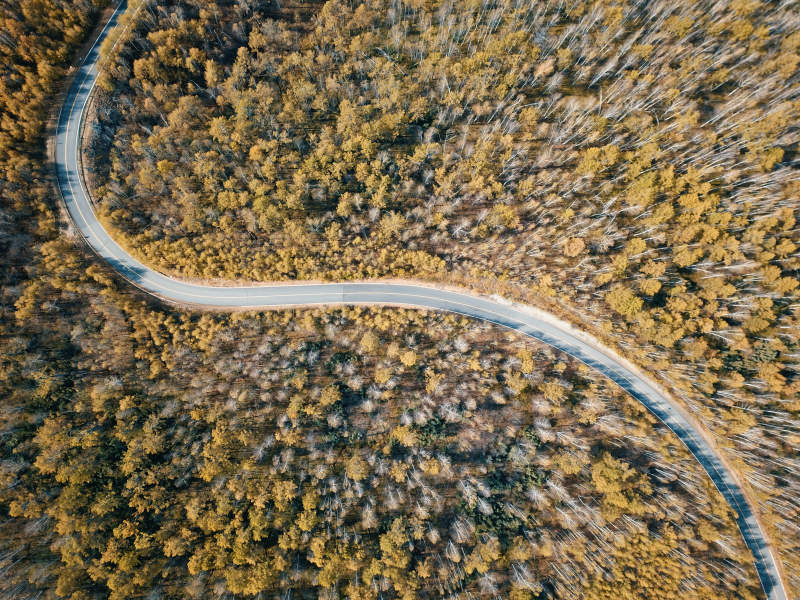 呼伦贝尔林间蜿蜒小路