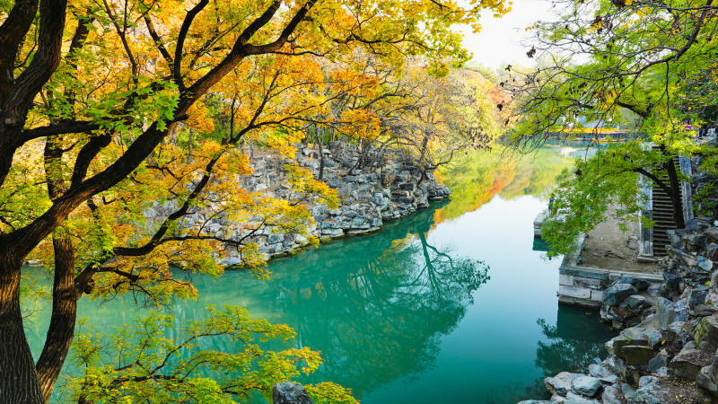 頤和園后湖秋水映林 靜謐如畫