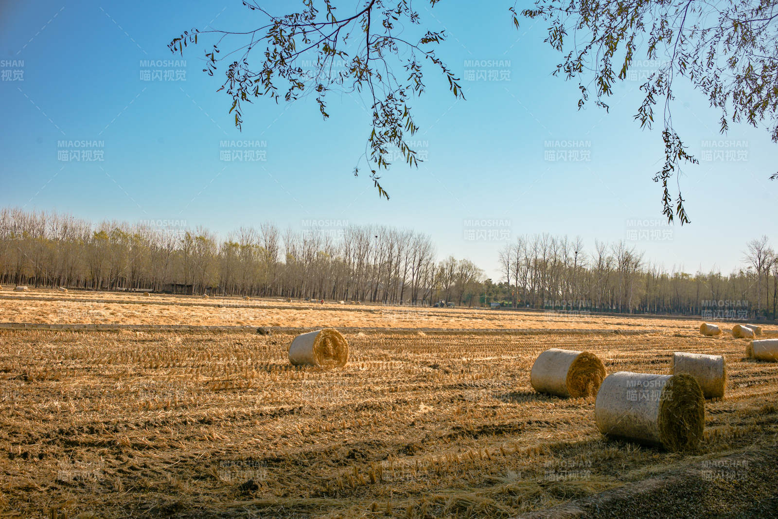 金秋田野草垛图