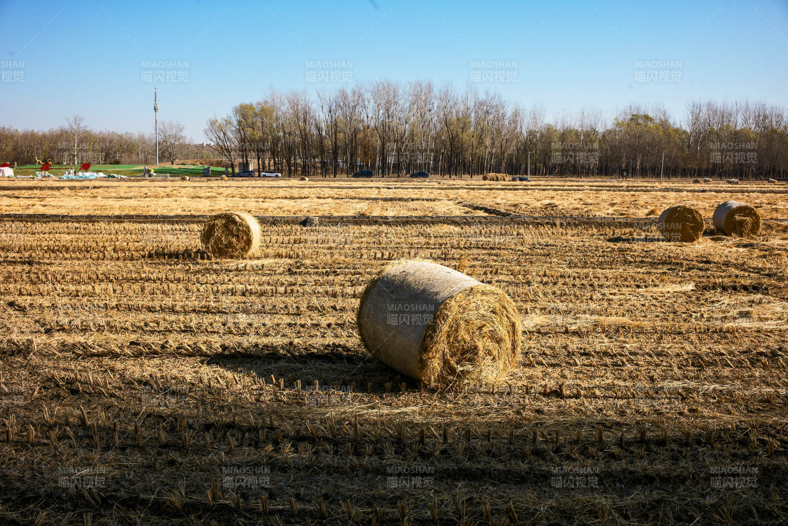 金秋田野草垛图