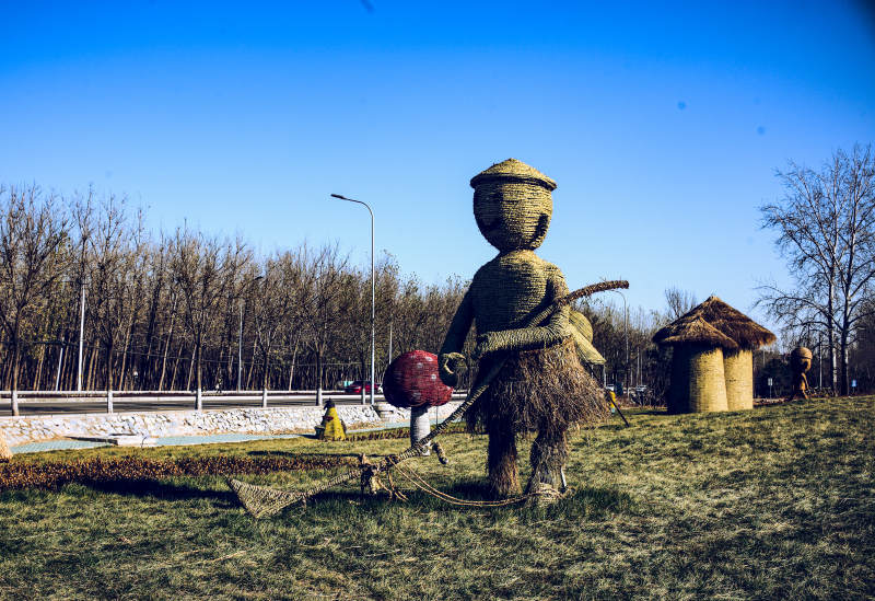 海淀稻香花海—稻草人守望田野