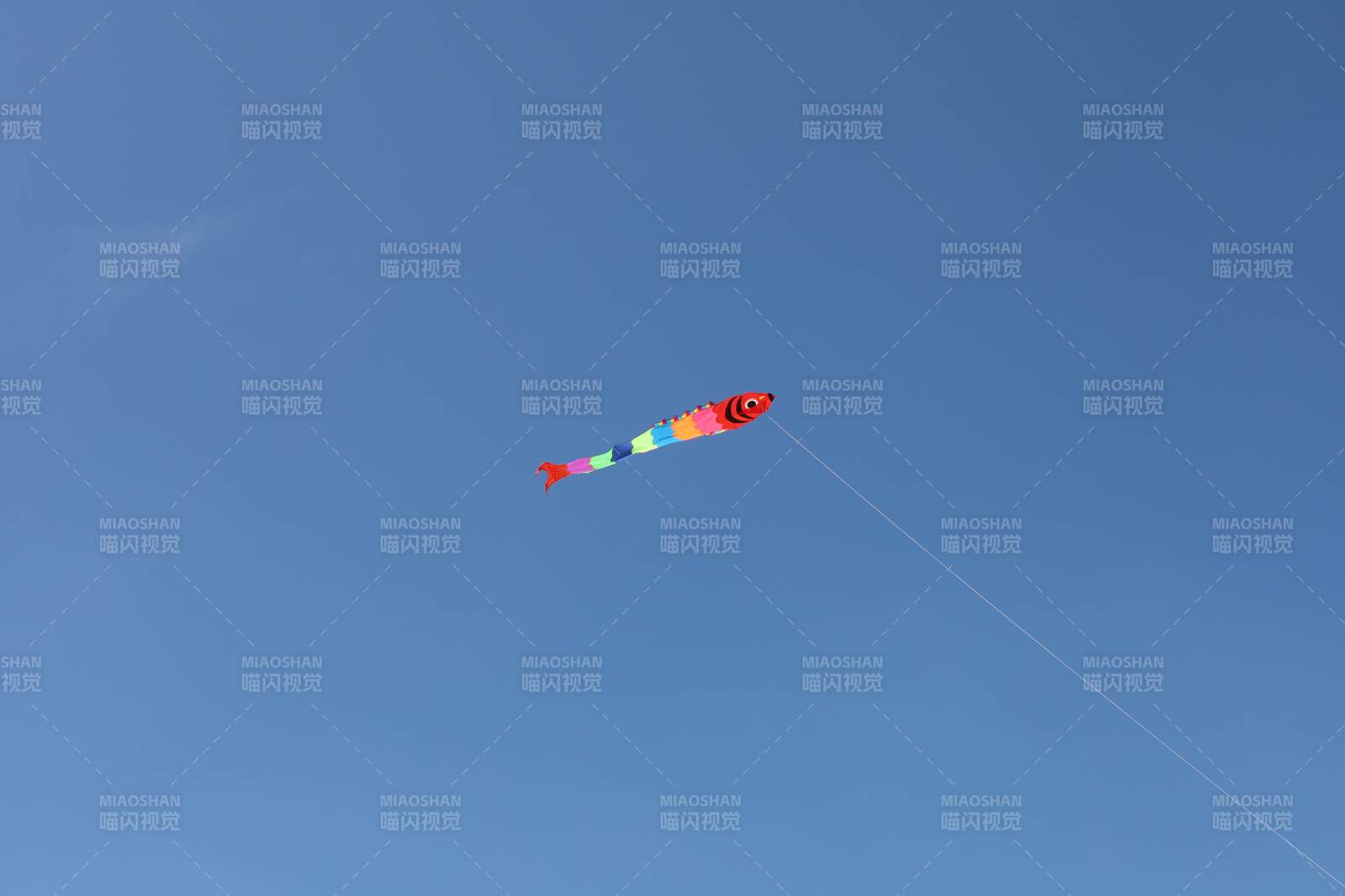 彩鱼风筝飞蓝天