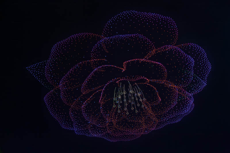 无人机光点玫瑰绽放