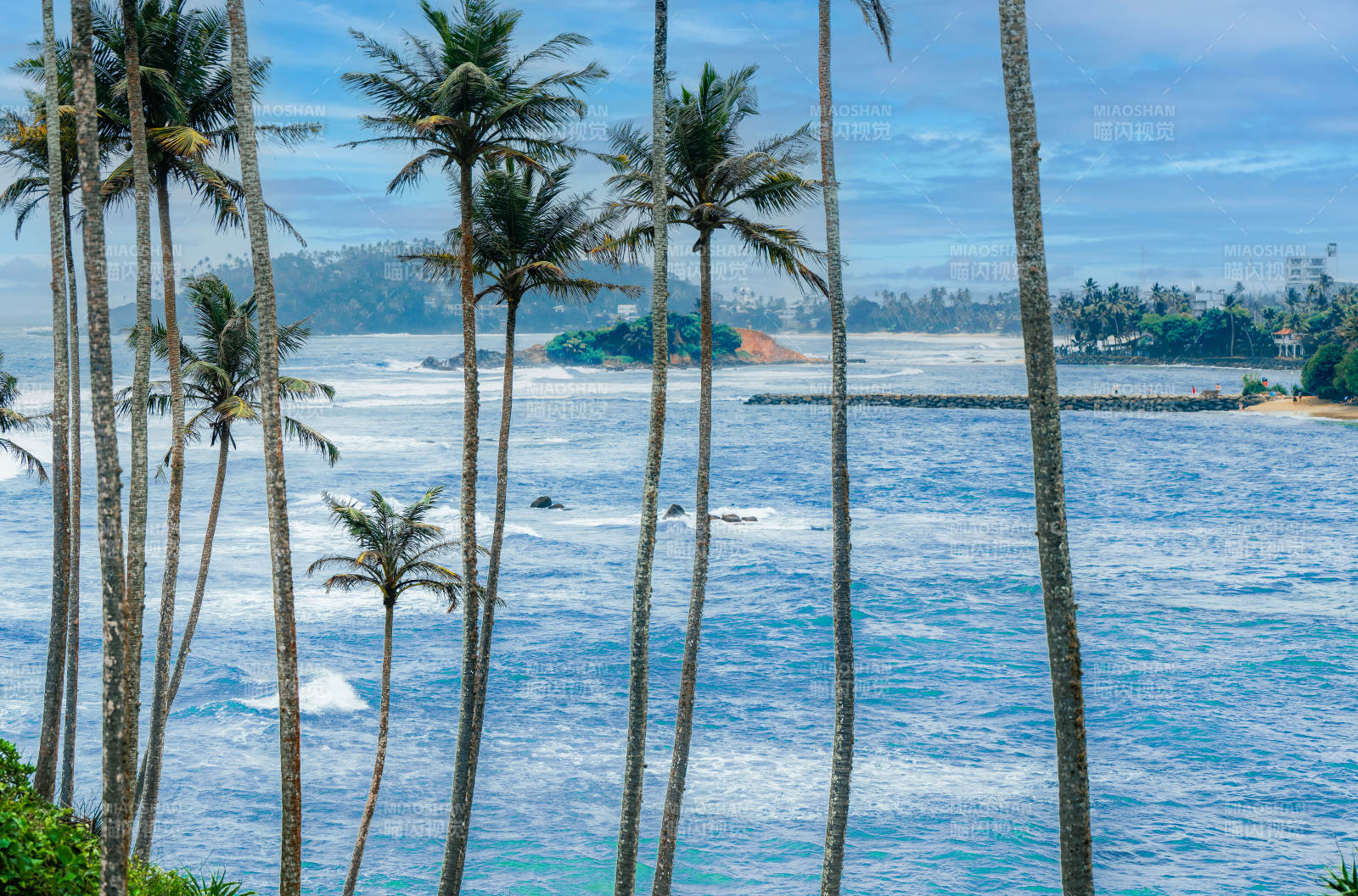 椰林碧海風光