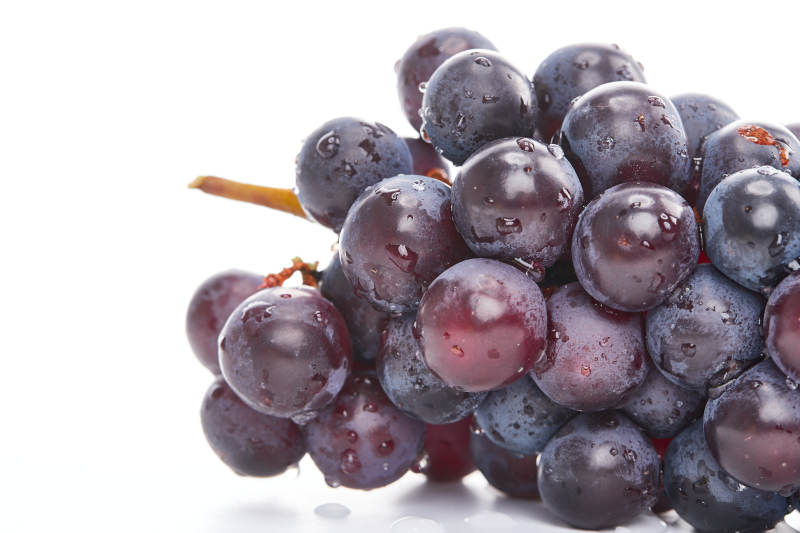 白色背景上摆放的水嫩新鲜紫葡萄