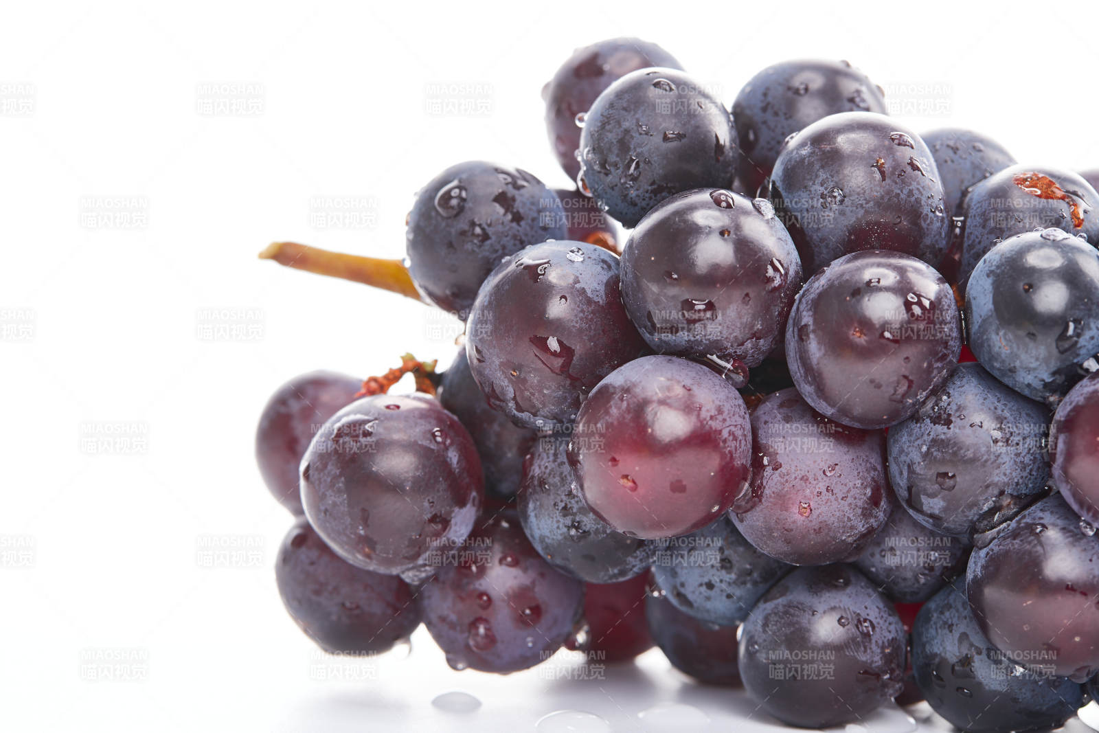白色背景上摆放的水嫩新鲜紫葡萄