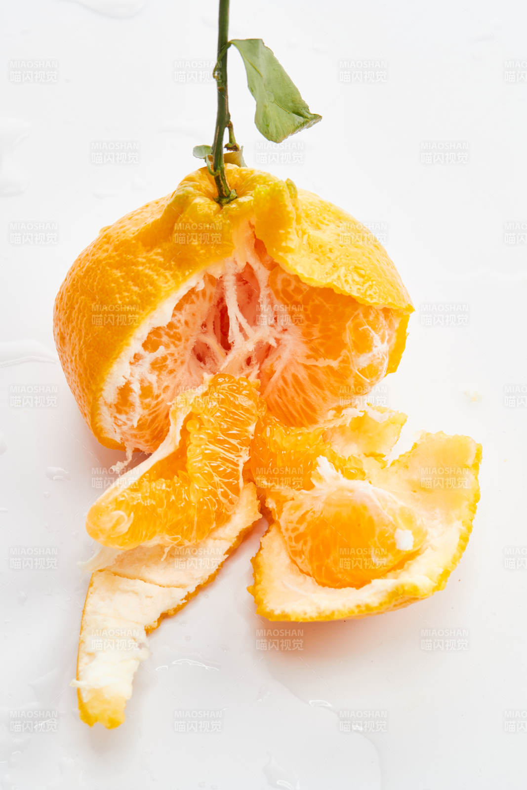 白色背景上摆放的新鲜丑橘