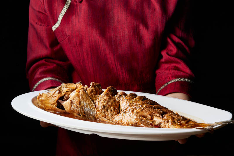 家常炖野生大鲤鱼